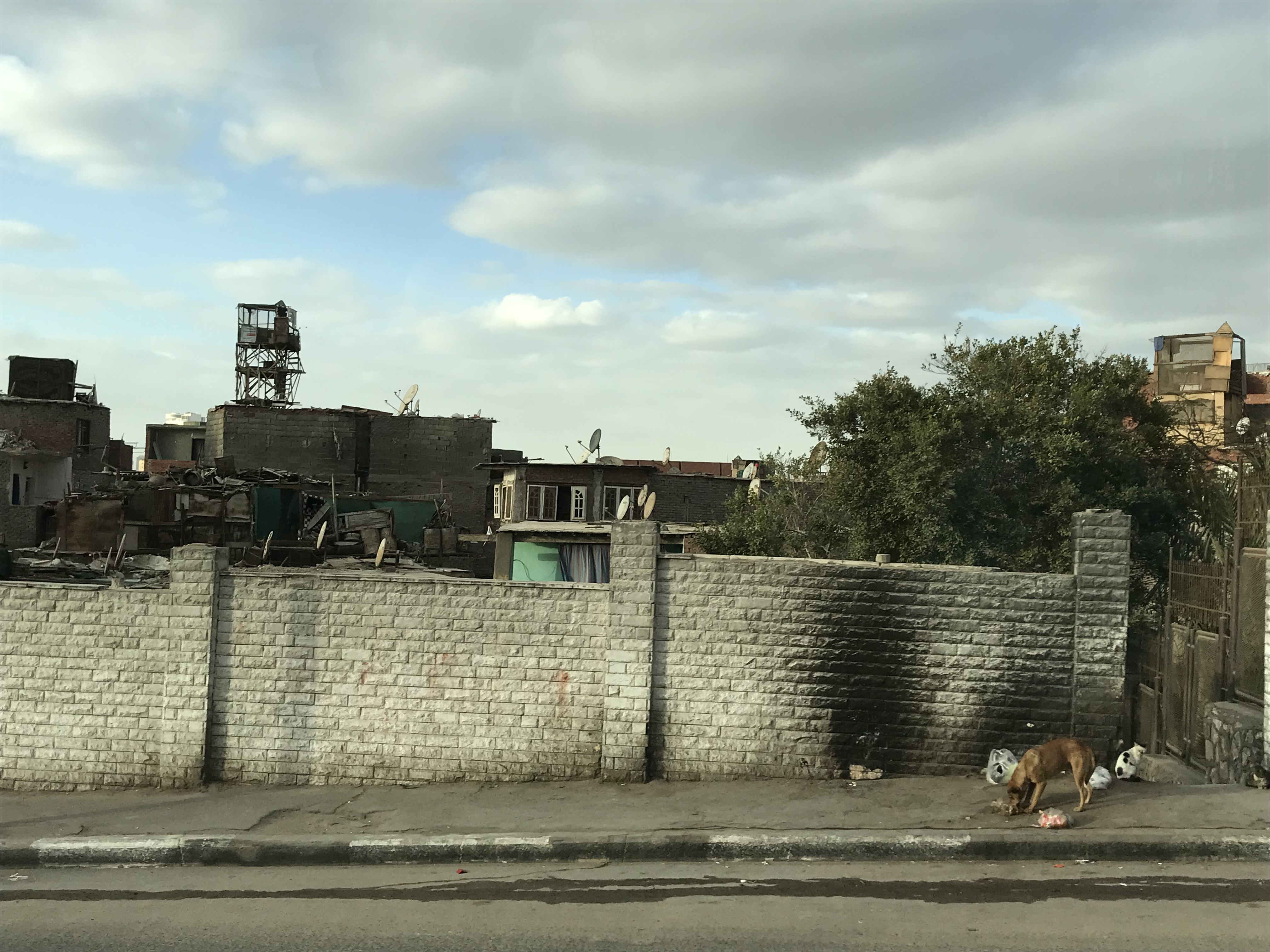 ./2018/16 - Egypt/12 - Cairo Day 4/IMG_4478.jpg